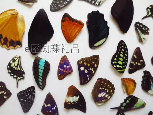Образец для бабочки крылья, крылья бабочки, 100 таблеток 38 Юань бесплатная доставка.