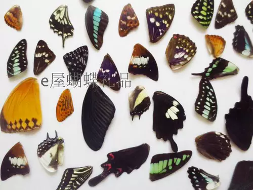 Образец для бабочки крылья, крылья бабочки, 100 таблеток 38 Юань бесплатная доставка.