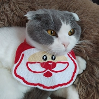 Санта-Клаус