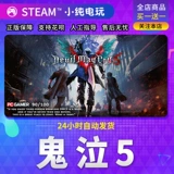 Steam подлинный PC National District CDK Devil May Cry 5 Devil May Cry 5 Action Little Pure Game