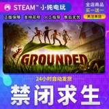 Steam подлинный ПК китайский игровой группировку Запрещенное выживание становится приключением злодея