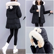Phụ nữ mang thai mùa thu đông áo khoác nữ 2018 phiên bản mới của Hàn Quốc áo khoác cotton rộng rãi xuống quần áo cotton mùa đông áo khoác cotton