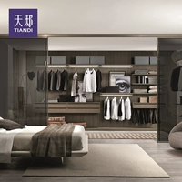 Tiandi Home Funshing Stepping Cloakroom Light Luxury All -House Custom Furniture Open Общая настройка гардероба