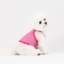 Xuân 2019 mới kẹo màu sọc áo vest chó vest Hàn Quốc trang phục thú cưng đích thực 丨 Sniff - Quần áo & phụ kiện thú cưng