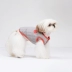 Mùa thu đông 2018 Quần áo thú cưng mới hai mặt quần áo cotton chó đôi sử dụng | Sniff - Quần áo & phụ kiện thú cưng Quần áo & phụ kiện thú cưng