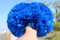 Модернизировано 5 дюймов югуанга (азиатский синий)