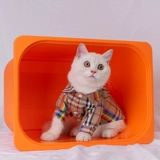 Кошачья одежда Summer Thin Tide Brand Brand Teddy Dog маленькая рубашка для собак анти -хаор сетка