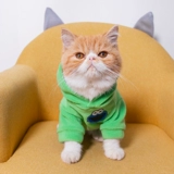 Демисезонный удерживающий тепло пуховик, милый шнурок-держатель, толстовка, популярно в интернете, осенний сезон