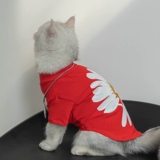 Модная бренда ромашка кошачья одежда в летнем милый волосы, защищенные от волос плюшевой бишон, медведь, одежда для собак, кошачья одежда, тонкая