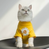 Модная бренда ромашка кошачья одежда в летнем милый волосы, защищенные от волос плюшевой бишон, медведь, одежда для собак, кошачья одежда, тонкая