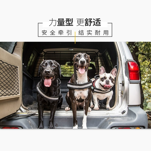 Джулиус К9 взрыв собаки -надежный ремешок для груди, Бартированный, Золотой ретривер Средний Большой Собачь