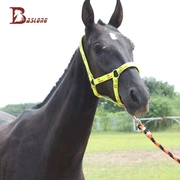 Cưỡi ngựa thể thao ngựa dây cương dệt dây ngựa dẫn huỳnh quang màu xanh lá cây ngựa được trang bị với tám chân rồng ngựa