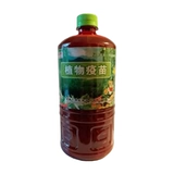 Растение вакцина гнилой корень мертвых рассады