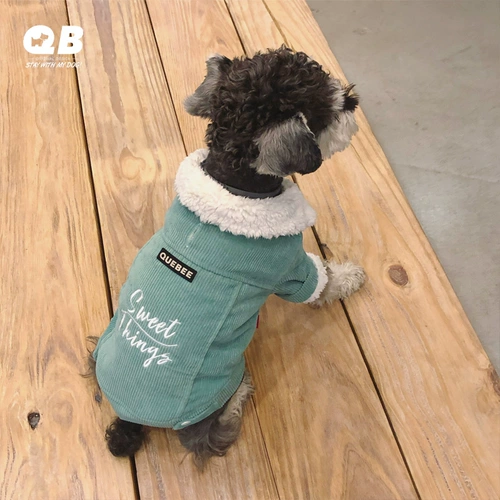 QB Schnauzer Teddy Fightdy Dog and Cat Clate