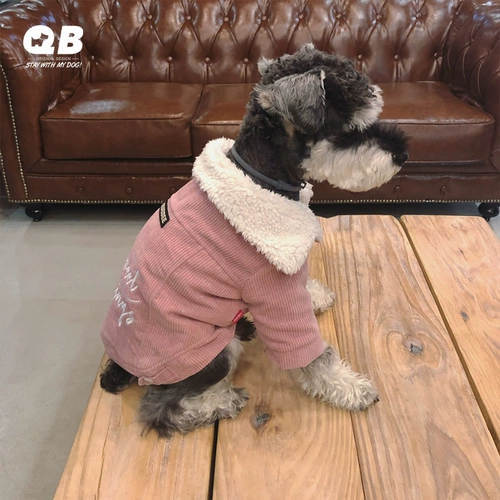 QB Schnauzer Teddy Fightdy Dog and Cat Clate