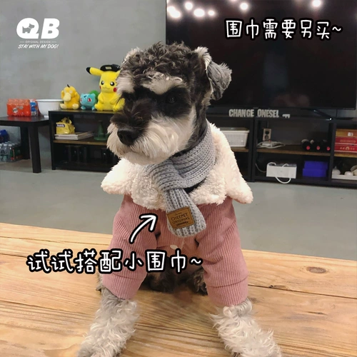 QB Schnauzer Teddy Fightdy Dog and Cat Clate