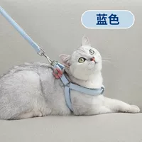 Qinglan подсолнух