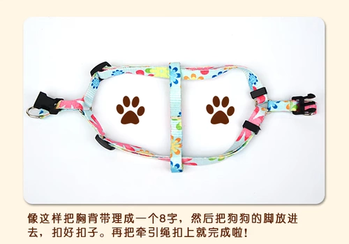 Печать Dog Traction Toving маленькая собачья сундука с собакой с ходьбой собачья веревка Тедди VIP -цепь собак питомцы