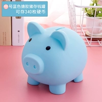 Мидтопения Голубая свинья