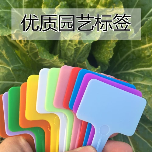 100 цветовых садоводства