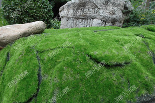 SIMULATION GREEN PLANT WALL HOE TRACKED GRASS Leather Simulated Lawn Plant Scene Window Display Display Fake Moss