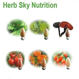 100 г чистого натурального кодонопсиса Экстракт 10: 1 Концентрированные растения.