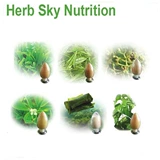 10: 1 Ян Цизированная Экстракция Концентрированная порошковая фабрика Прямые продажи 100G