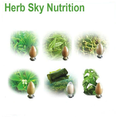 10: 1 Ян Цизированная Экстракция Концентрированная порошковая фабрика Прямые продажи 100G