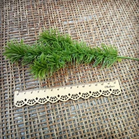 Склетать зеленая 3 клетчатка