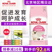 Thức ăn cho mèo cưng Royal Royal K36 mang thai cho con bú mẹ thức ăn cho mèo 2kg cộng với thức ăn ngắn - Cat Staples
