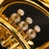 Nhạc cụ đồng thau châu Âu tích cực trên bass Số B có thể điều chỉnh sơn dọc nút vàng 3 + 1 xiên bốn phím chuyên nghiệp - Nhạc cụ phương Tây trống điện tử yamaha Nhạc cụ phương Tây