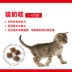 Tu Cat Pet Nội địa Hoàng gia BC34 Bánh sữa Cát Hạt chính 0,4kg4 Gói 1-4 tháng Thời gian vắt sữa 21 tỉnh