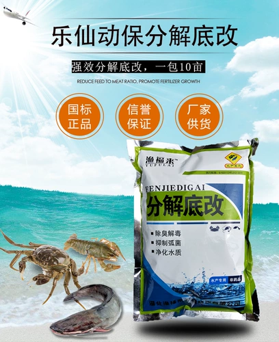 Водные изделия с детоксифицирующим дном улучшения дна деградация токсина токсина нитрит нитрит нитрит нитрит рыб креветки крабовой лягушка 鳖 通 水 水 水 水 水 水 水
