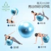 Phụ nữ mang thai bóng yoga hướng dẫn âm nhạc giao hàng đặc biệt nữ hộ sinh bóng tập thể dục video hướng dẫn thiết bị thể thao sau sinh nữ nhà - Yoga