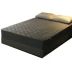 Nam cực cotton giường bìa Simmons bảo vệ bìa cotton dày latex mat nệm cover chần chống trượt giường 笠