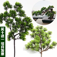 Шесть -летний магазин более 20 цветовых моделирования сосновых ветвей сосновых игл Luo Han Fake Добро пожаловать сосновые листь