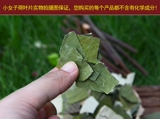 Лист лотоса на озере Вайшан Лотос может быть оснащен сухой зимней кожей с кожей в печеной траве.