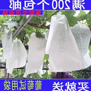 Trái cây túi đầy đủ mẫu làm vườn cung cấp túi nho đỏ túi gỗ trắng bột giấy túi chống túi giấy - Nguồn cung cấp vườn