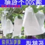 Trái cây túi đầy đủ mẫu làm vườn cung cấp túi nho đỏ túi gỗ trắng bột giấy túi chống túi giấy - Nguồn cung cấp vườn vòi nước tưới cây