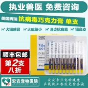 Mỹ Pfizer Vibravet chống vi-rút kem chống viêm sô cô la đơn mũi - Cat / Dog Health bổ sung