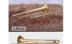 Cung cấp thiết bị âm nhạc ống trường Jinbao thả B điều chỉnh nhạc cụ trombone ống B phẳng, đồng thau đặc biệt - Nhạc cụ phương Tây trống da Nhạc cụ phương Tây