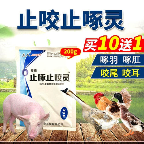 Остановка и укусить укусить хвост кусай ушной птицу, куриные утки, перья, свинина, клеветая на дух перья, анальная клевета с яйцом -клером