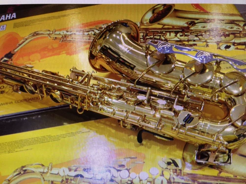 Оригинальная подлинная Yamaha Yamahacha Saxia Emozhun Yas-200dr/DT официальная регистрация