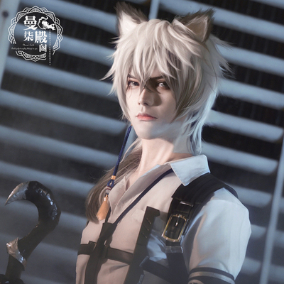 taobao agent Tomorrow Ark COS Silver COS COS Wig Cliff COS COS Early Snow COS wig (optional with ears) spot