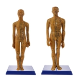 Силиконовое иглоукалывание, физиологичная медицинская кукла, манекен головы