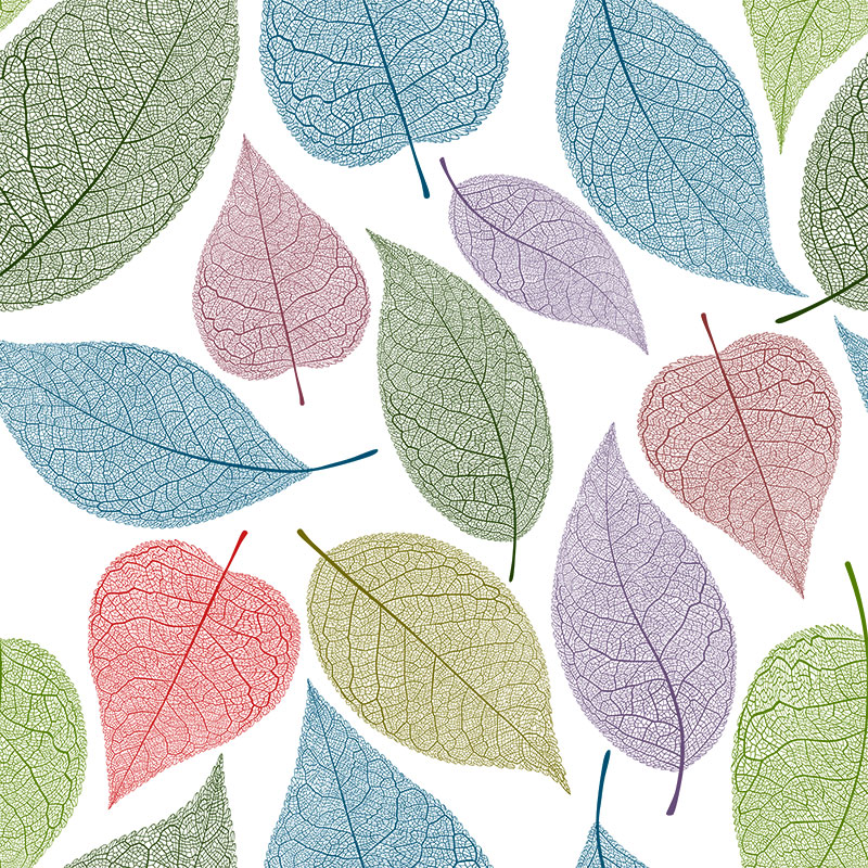 线形复古叶子树叶植物剪贴画插画插图PNG免扣AI矢量设计装饰素材