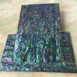 Новозеландская синяя пурпурная раковина раковина бумага.