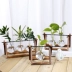 Sáng tạo gỗ thủy tinh bình hoa đứng thủy canh cây xanh trồng hoa văn phòng bàn nước cây xanh dul sạch không khí - Vase / Bồn hoa & Kệ