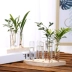 Sáng tạo thủy canh rắn gỗ thủy tinh bình hoa đứng nước xanh cây thủy tinh ống nghiệm bộ đồ ăn trang trí hoa trang trí - Vase / Bồn hoa & Kệ
