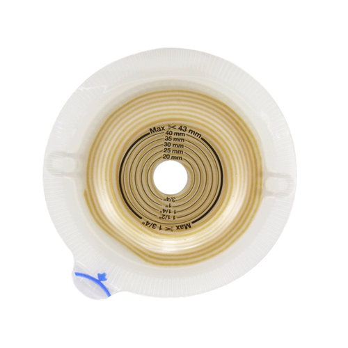 Kangle Paulusch 14249 Двух -карманный карманный прозрачный выпуклый шасси 60 мм Kangle Bao Genuine 1 Box